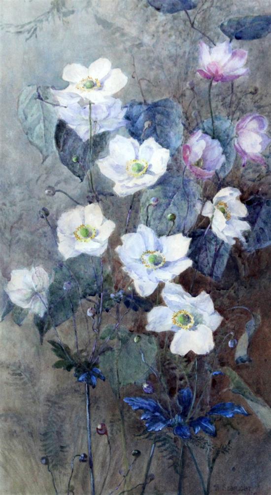 Richard Sebright (1870-1951) Wood anemones, 19 x 11.5in.